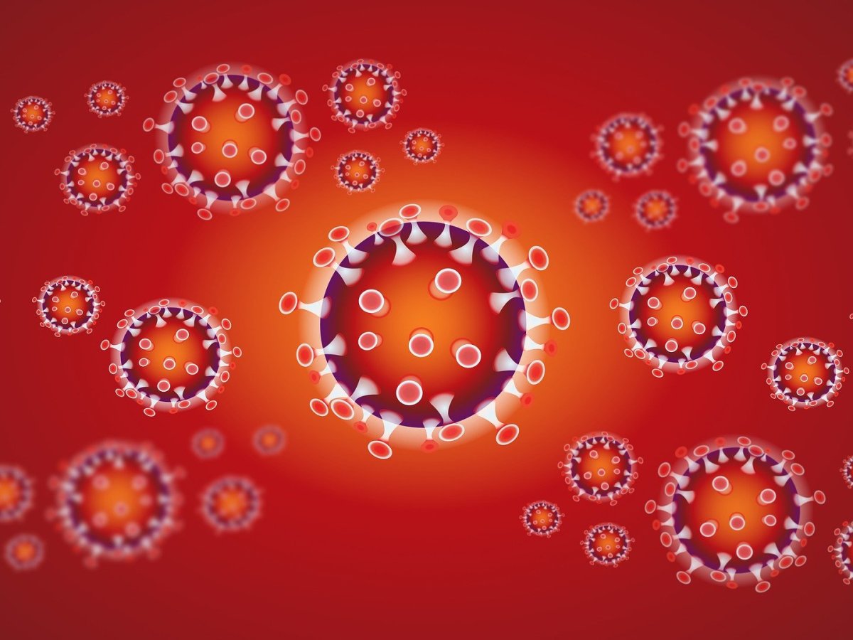 Lo que nos enseña el Coronavirus COVID-19