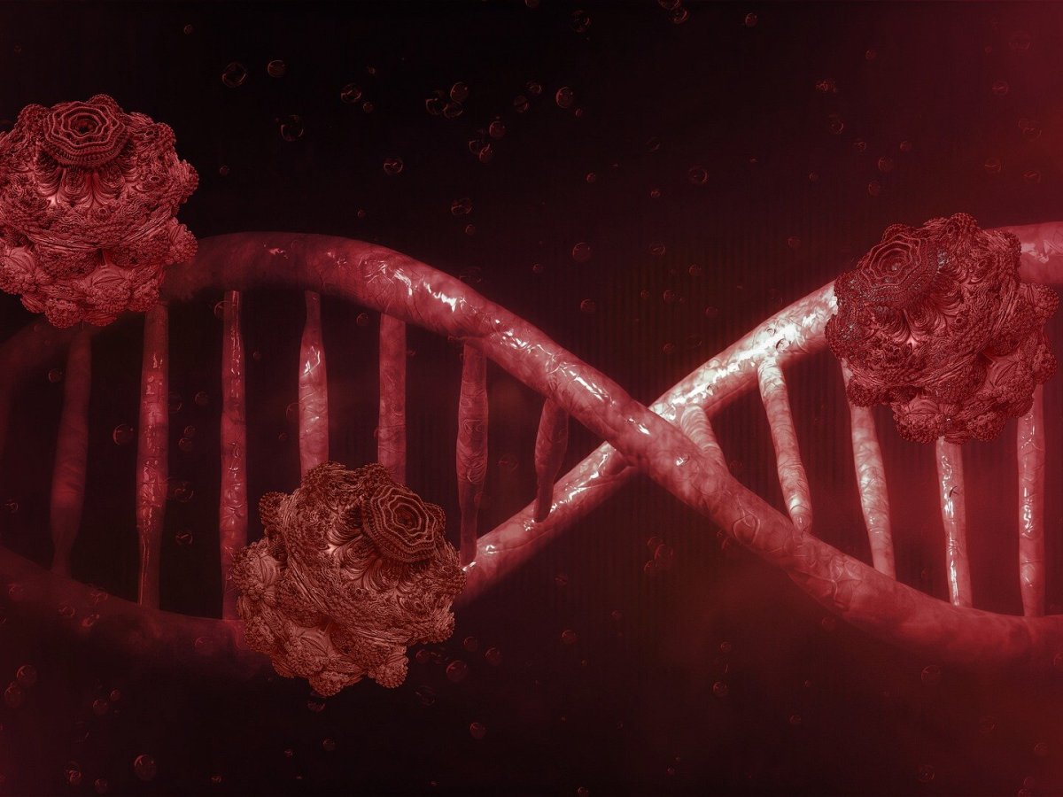 Remedios naturales para prevenir y proteger contra COVID-19