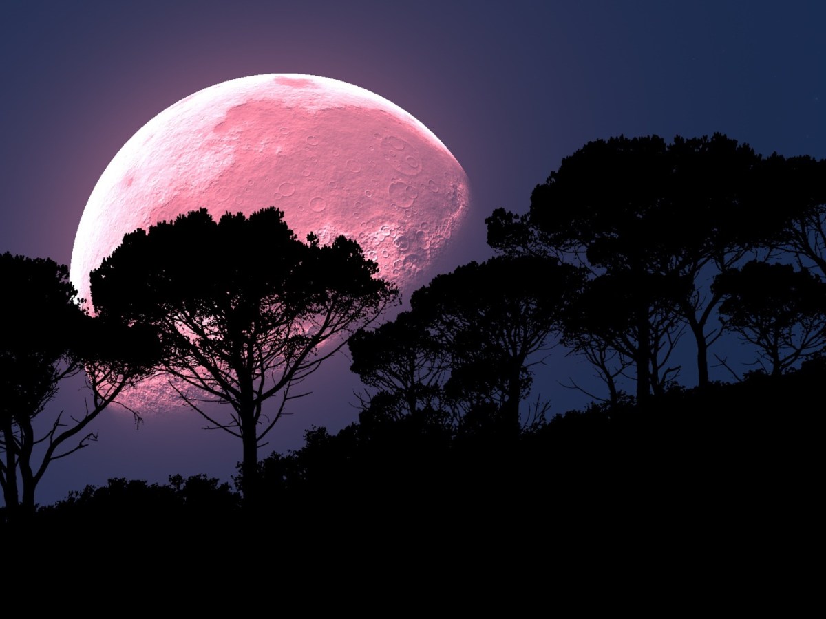 Pink moon: The biggest, brightest and best of 2020