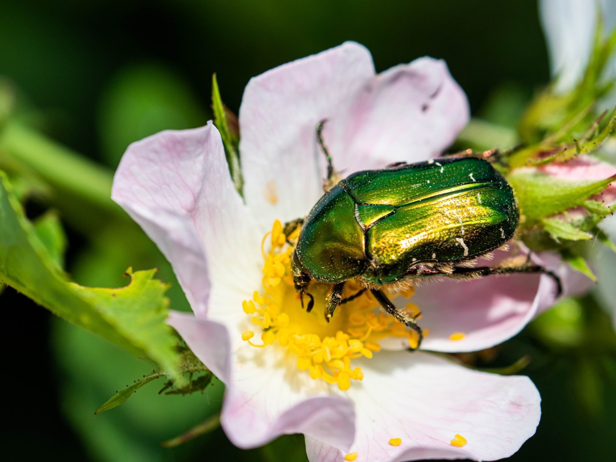 Synchronicity: A new dimension of reality approaching humanity